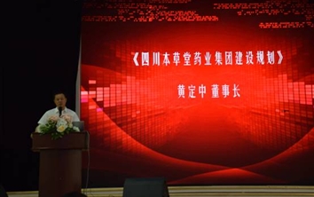 集团召开2018一季度业务分析会